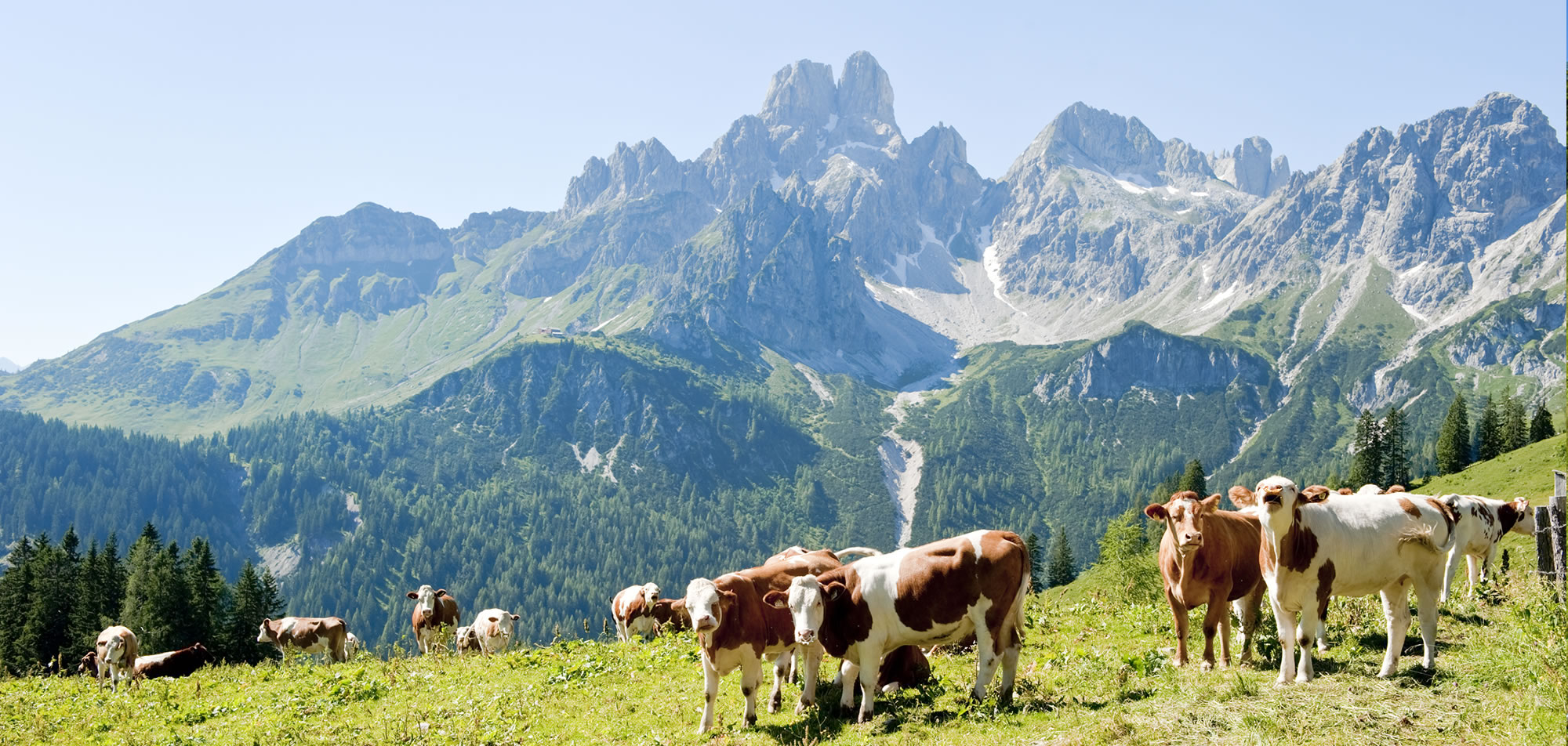 Gebirge der Salzburger Bergwelt - Blick auf die Bischofsmütze © Tourismusinformation Filzmoos
